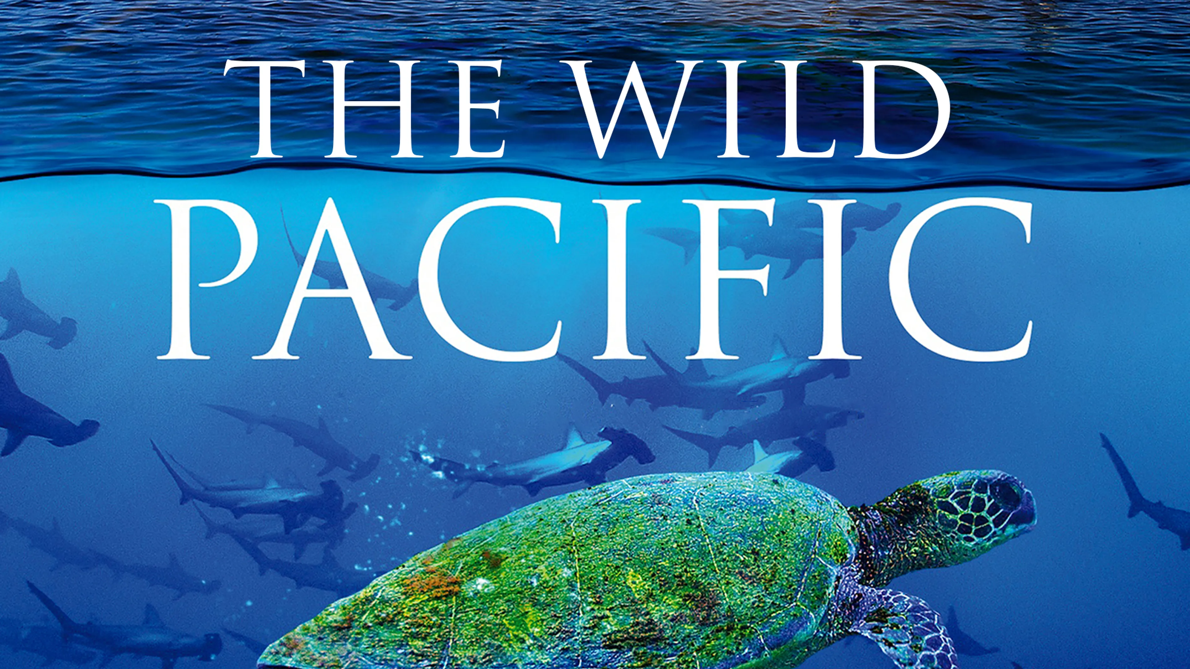 The Wild Pacific poster